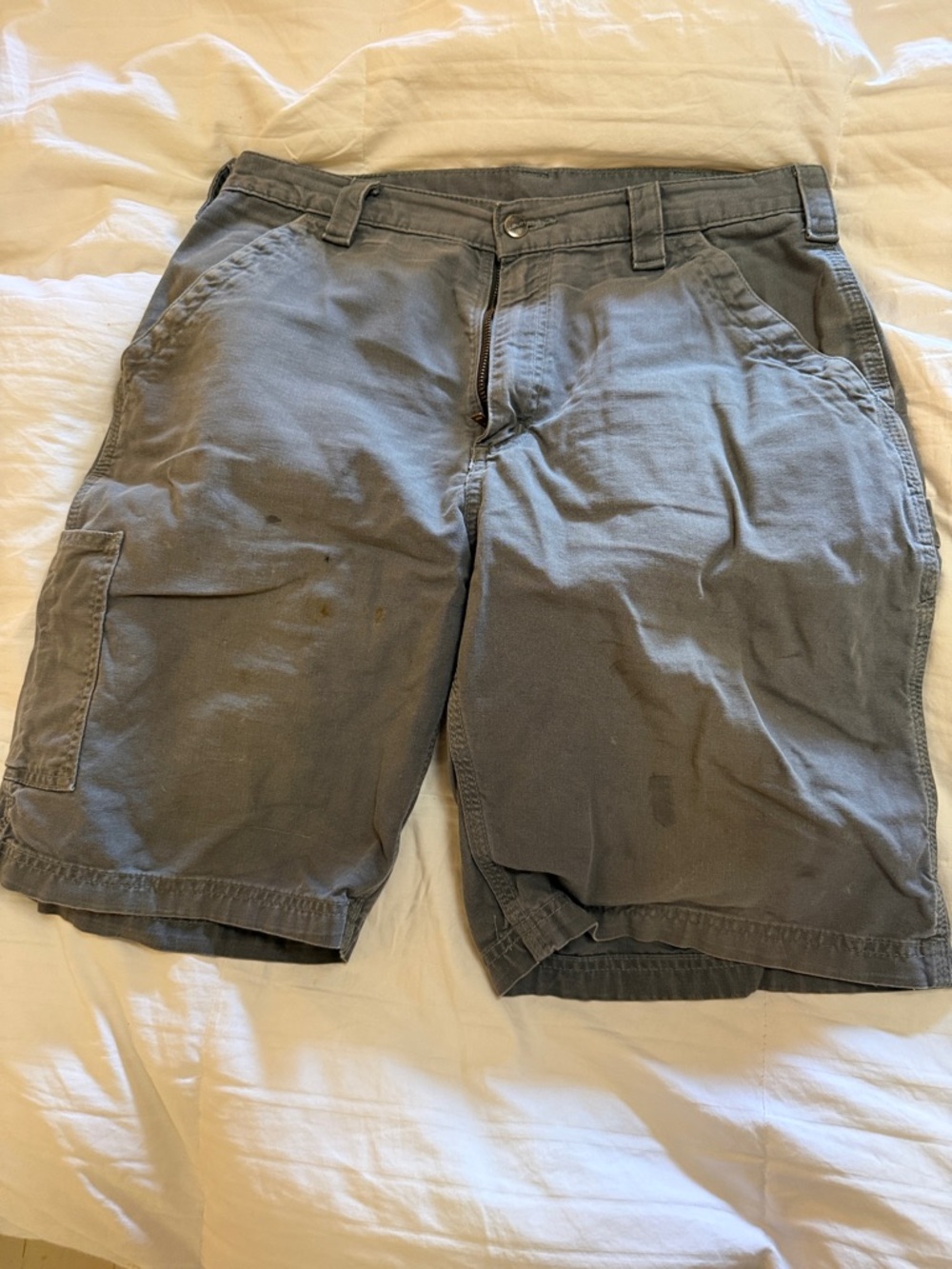 Carhartt Men's Cargo Shorts in Gray